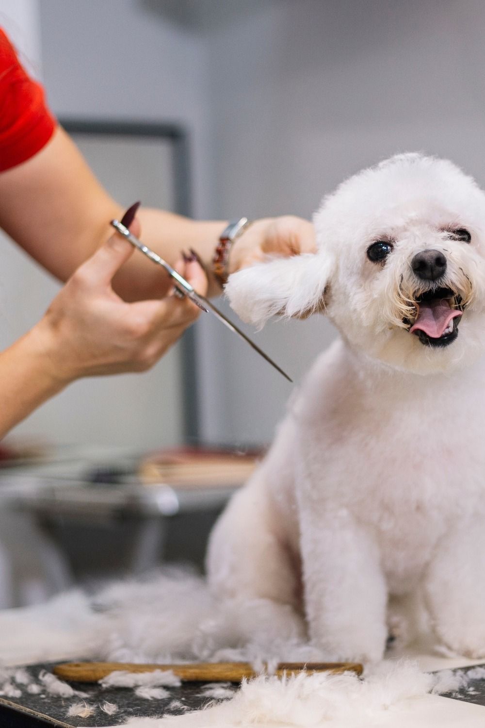 Grooming