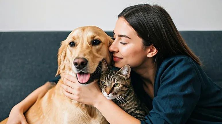Special Care